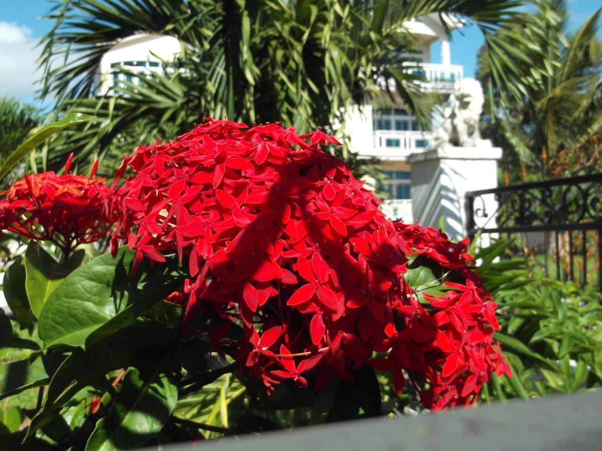 Luxor Residence Guesthouse Belle Mare Exterior photo